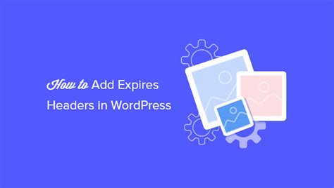 How to Add Expires Headers in WordPress (Step by Step) .